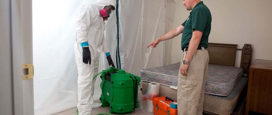 Durant, OK mold removal process